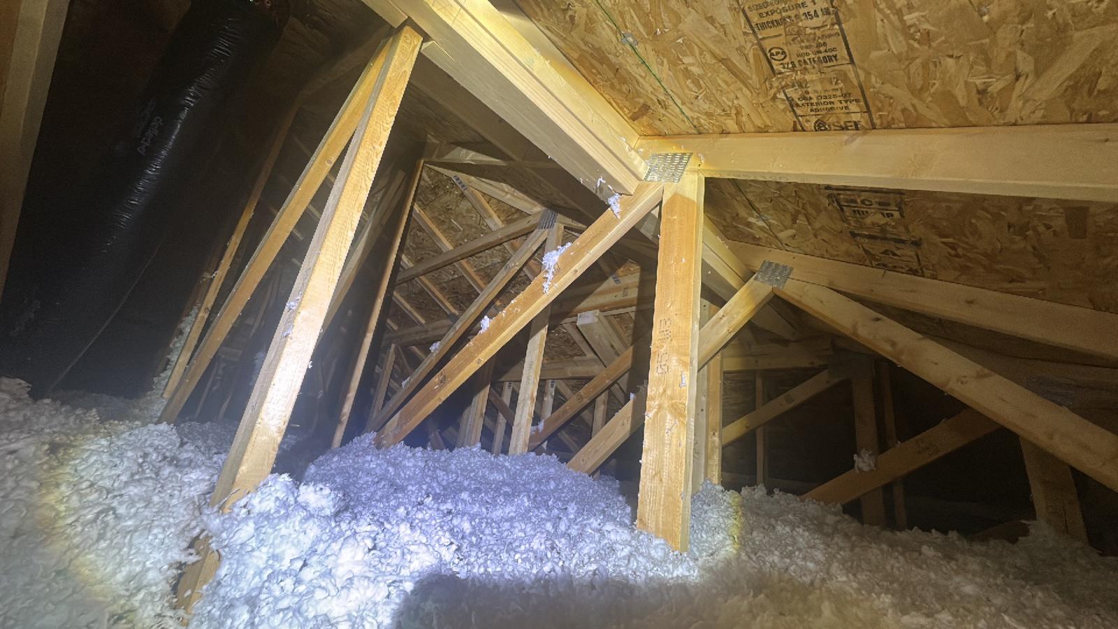 Residential inspection