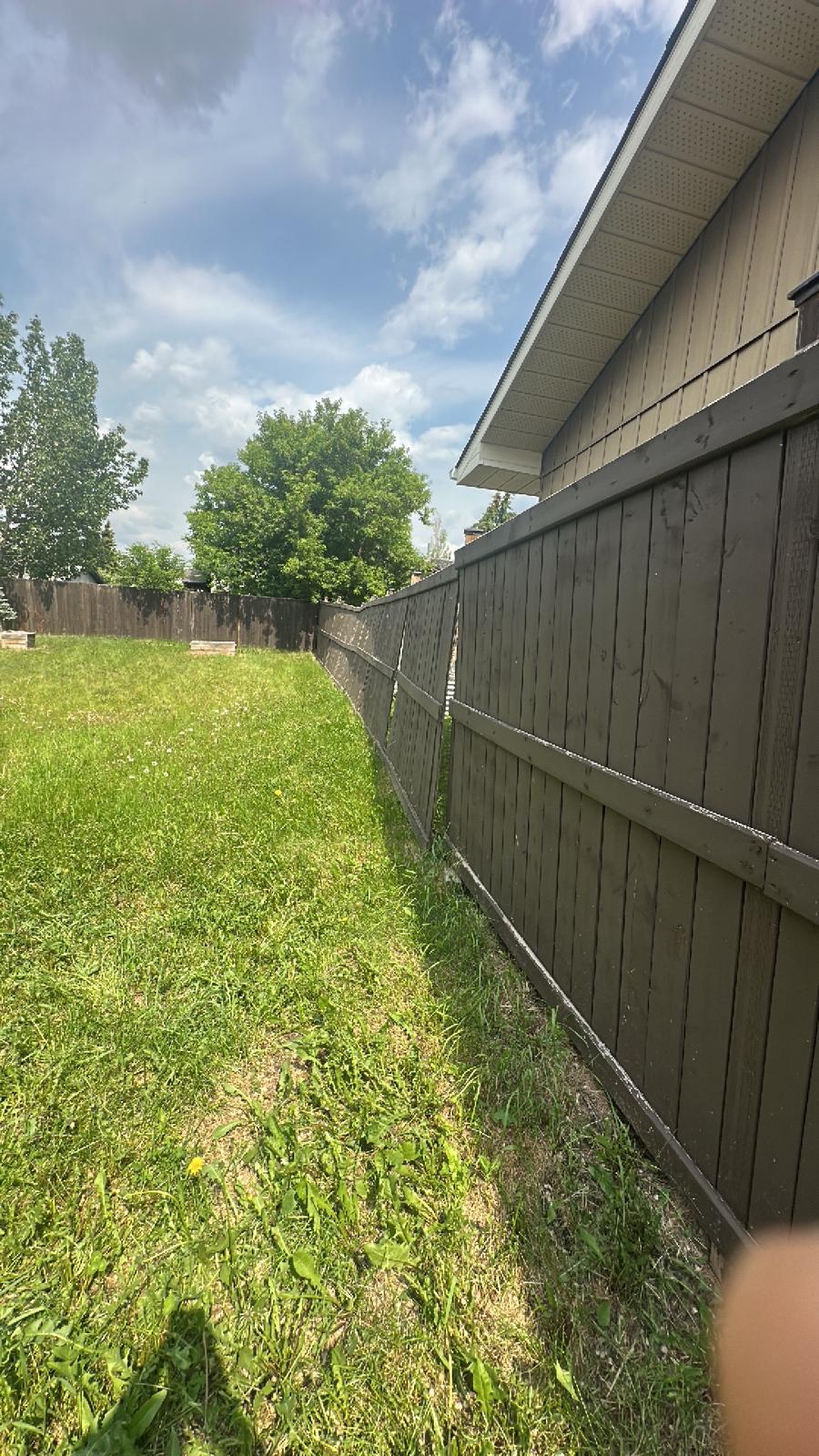 Foundation inspection