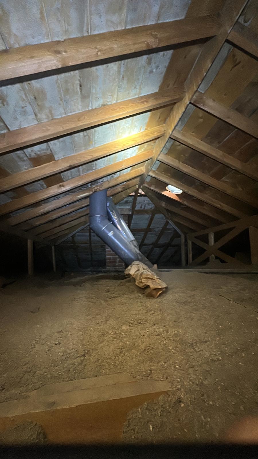 Inspector documenting findings