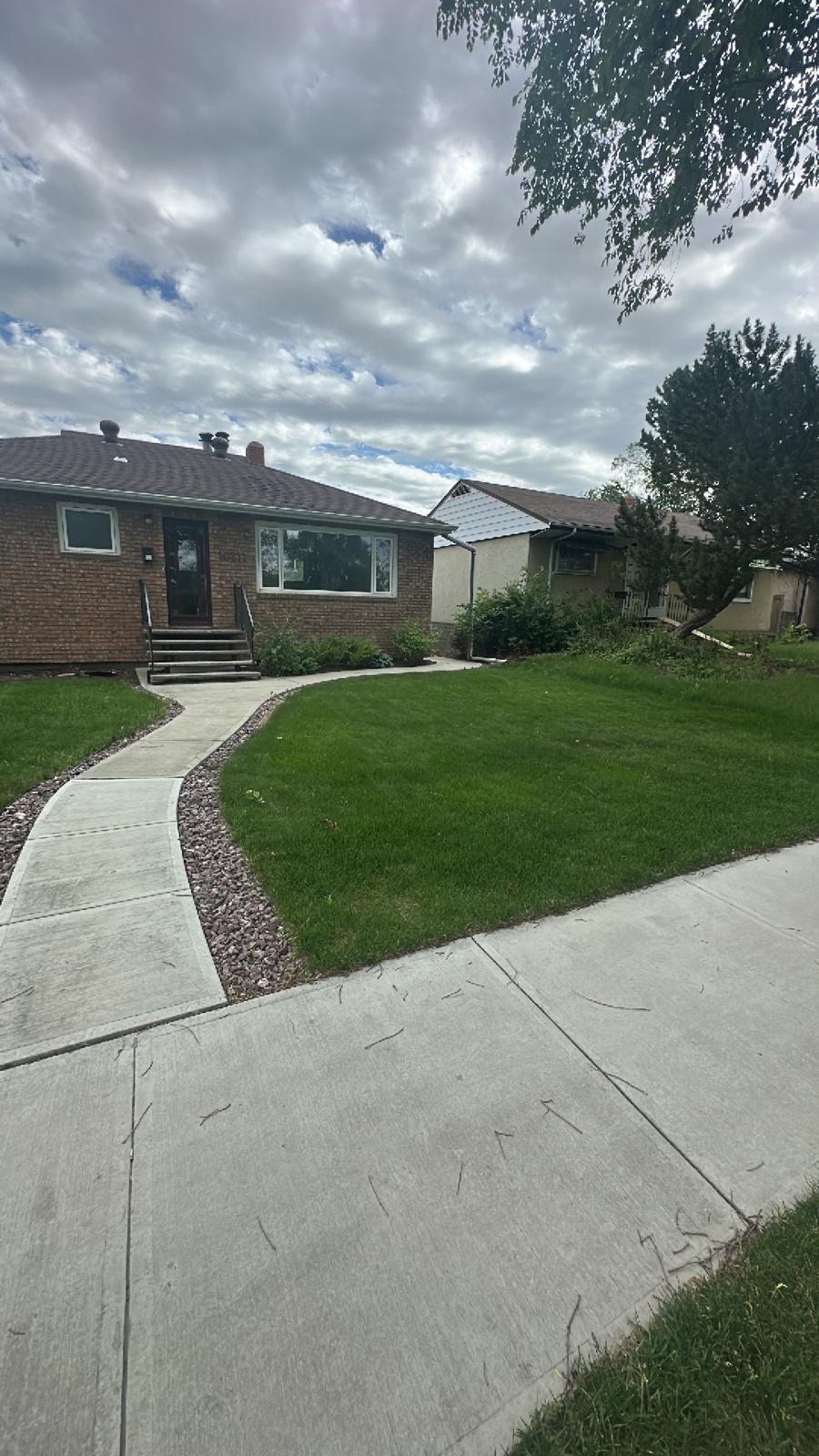 Inspection report preparation