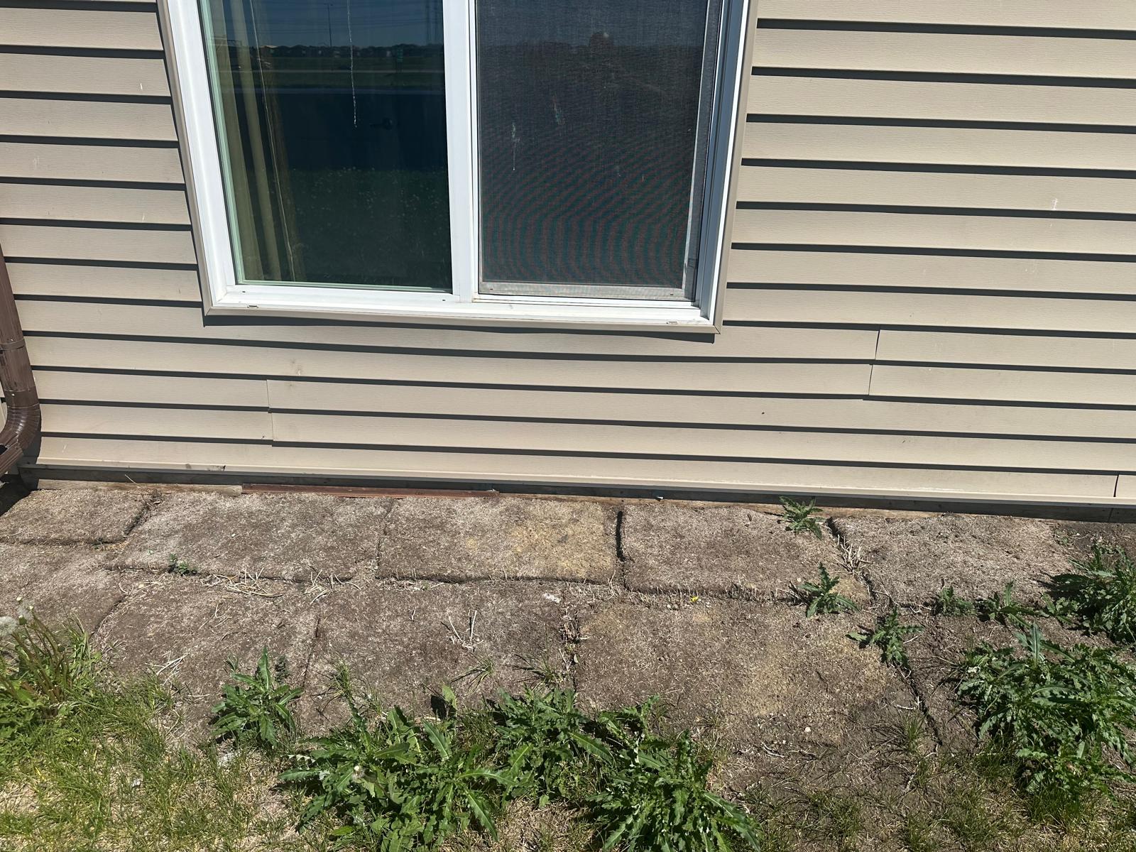 Professional home inspection