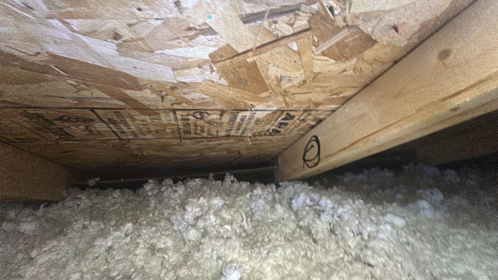 Inspection in progress